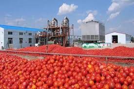 DANGOTE TOMATO