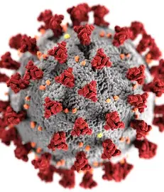 Virus