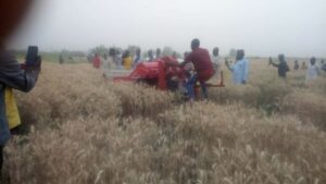 WHEAT FARMERS IN KURA