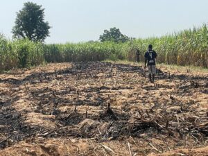 WhatsApp Image 2025 11 18 at 9.46.20 AM