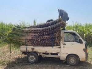 WhatsApp Image 2025 11 18 at 9.46.21 AM