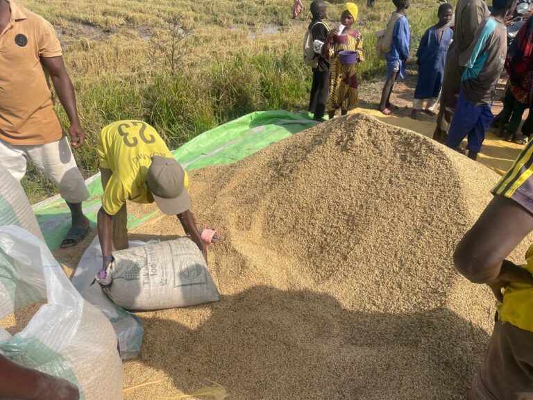 WhatsApp Image 2025 11 29 at 10.07.10 PM