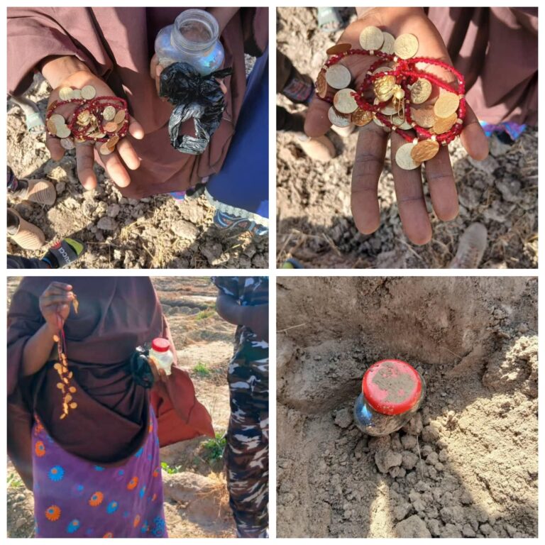 Woman Recovers N23.6m Gold Buried While Fleeing Boko Haram 15 Years Ago borno2 1764623192