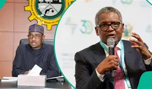 JUST IN: NMDPRA Boss Farouk Ahmed Resigns Amid Dangote Corruption Allegations download (3)